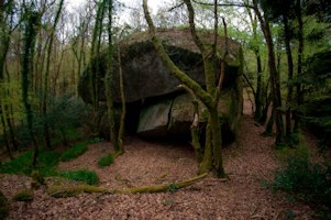 Des chaos de rochers  dans les bois de la roche cintre