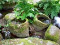 Les jarres en granit tailles par l'homme ,dans le lit de l'Elez  Milin Mardoul. 