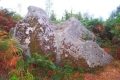  Un rocher  sacrificiel  dans le camp d'artus